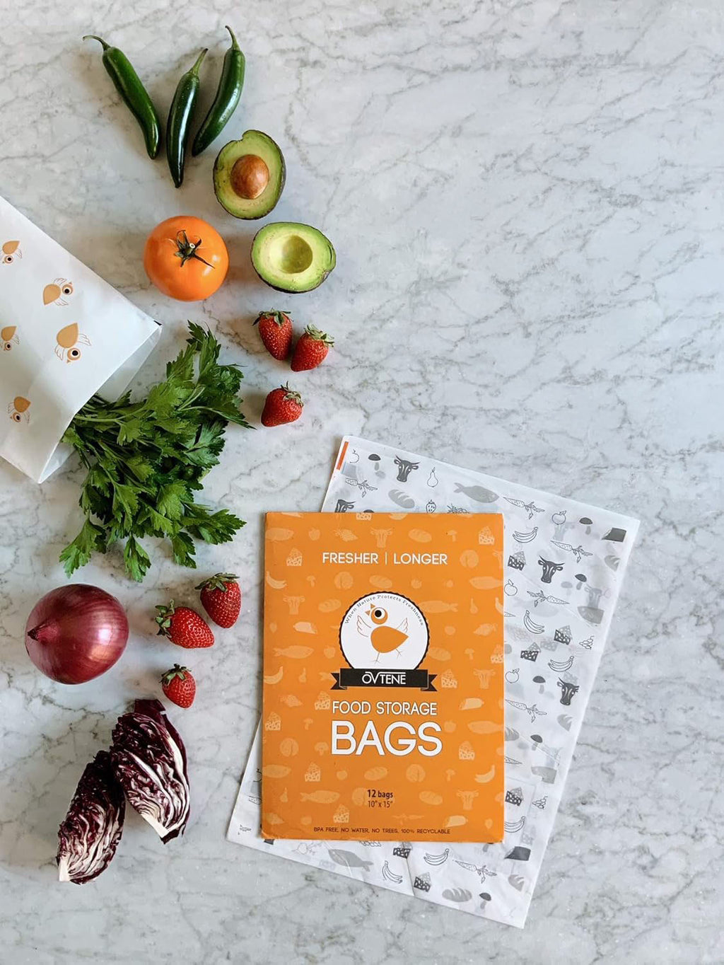 Large Food Storage Bags